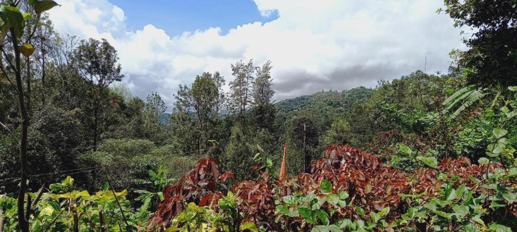 Westernghats Homestay Madikeri Exterior foto